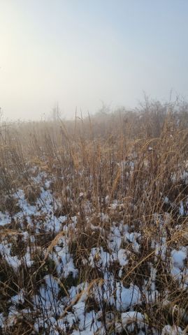 Działka rolno-budowlana Wapowce. Zdjęcie 1