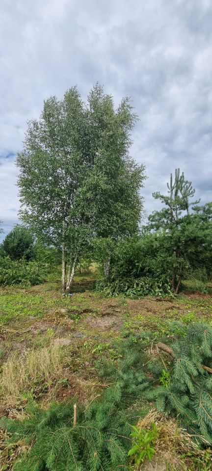 Działka budowlana Lesiów. Zdjęcie 4