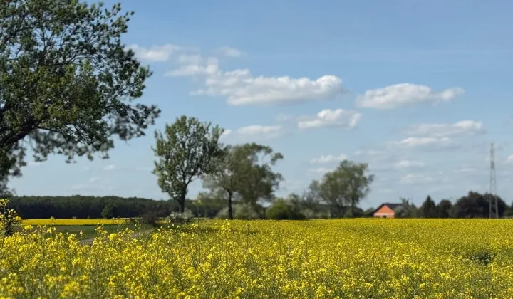 Działka budowlana Żelazna