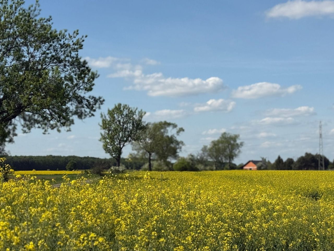 Działka budowlana Żelazna