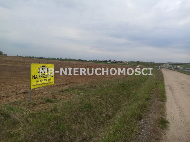 Działka inwestycyjna Królikowo. Zdjęcie 2