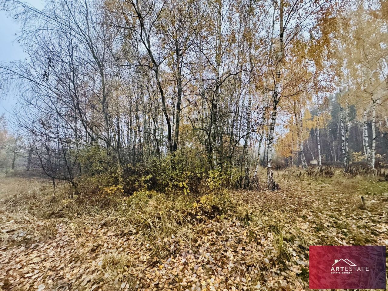 Działka budowlana Słowak. Zdjęcie 6