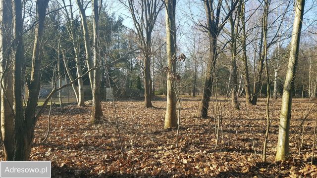 Działka rekreacyjna Głosków, ul. Millenium. Zdjęcie 1