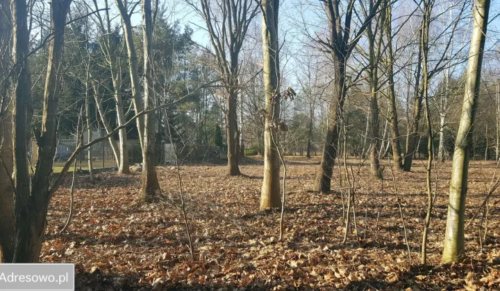 Działka rekreacyjna Głosków, ul. Millenium