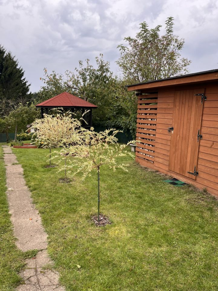 Działka rod Klebark Mały. Zdjęcie 9