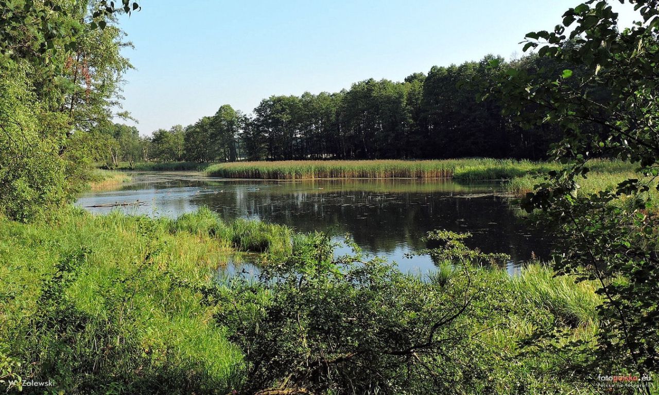 Mieszkanie 3-pokojowe Wieliszew, ul. Krzysztofa Kamila Baczyńskiego. Zdjęcie 9