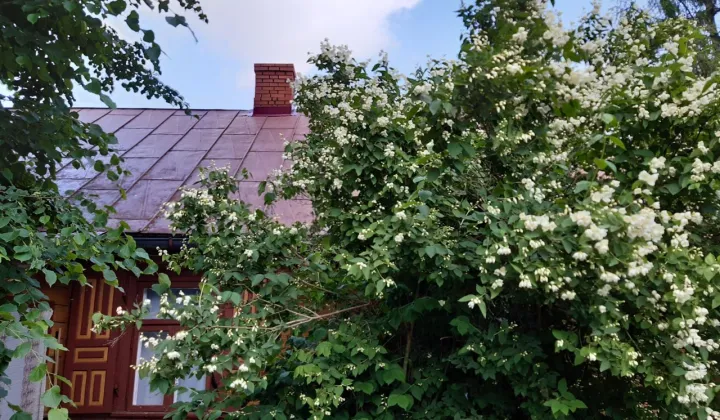 siedlisko, 3 pokoje Przegaliny Duże