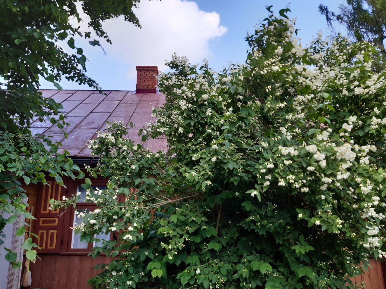 siedlisko, 3 pokoje Przegaliny Duże. Zdjęcie 1