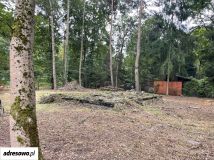 Działka rekreacyjna Popowo-Parcele, ul. Dębowa. Zdjęcie 2