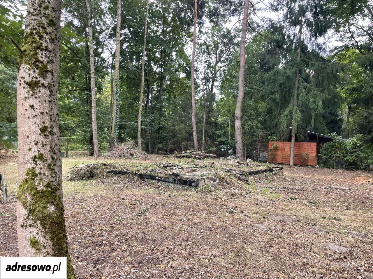 Działka rekreacyjna Popowo-Parcele, ul. Dębowa. Zdjęcie 3