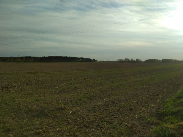 Działka rolna Chociw. Zdjęcie 1