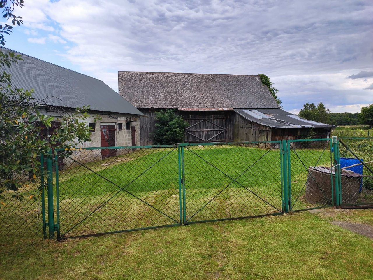 Działka siedliskowa Nowe Groszki. Zdjęcie 6