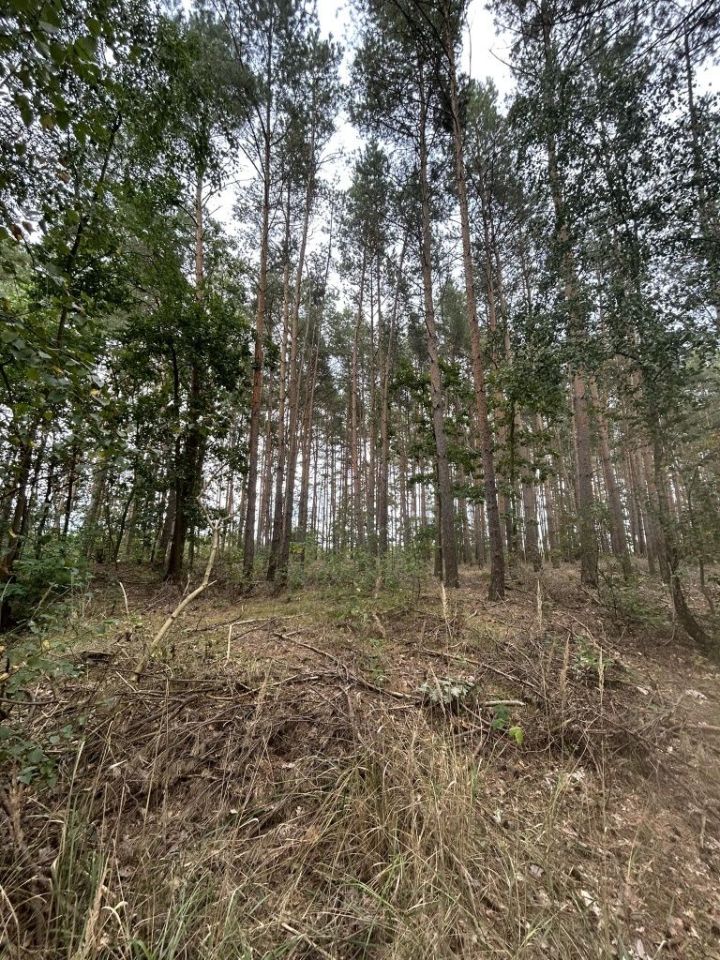 Działka rolna Cicha Góra. Zdjęcie 8