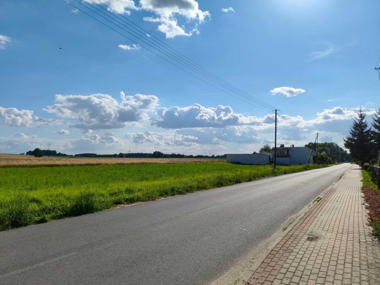 Działka budowlana Lisew. Zdjęcie 4