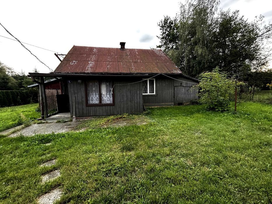 Zdjęcie 3