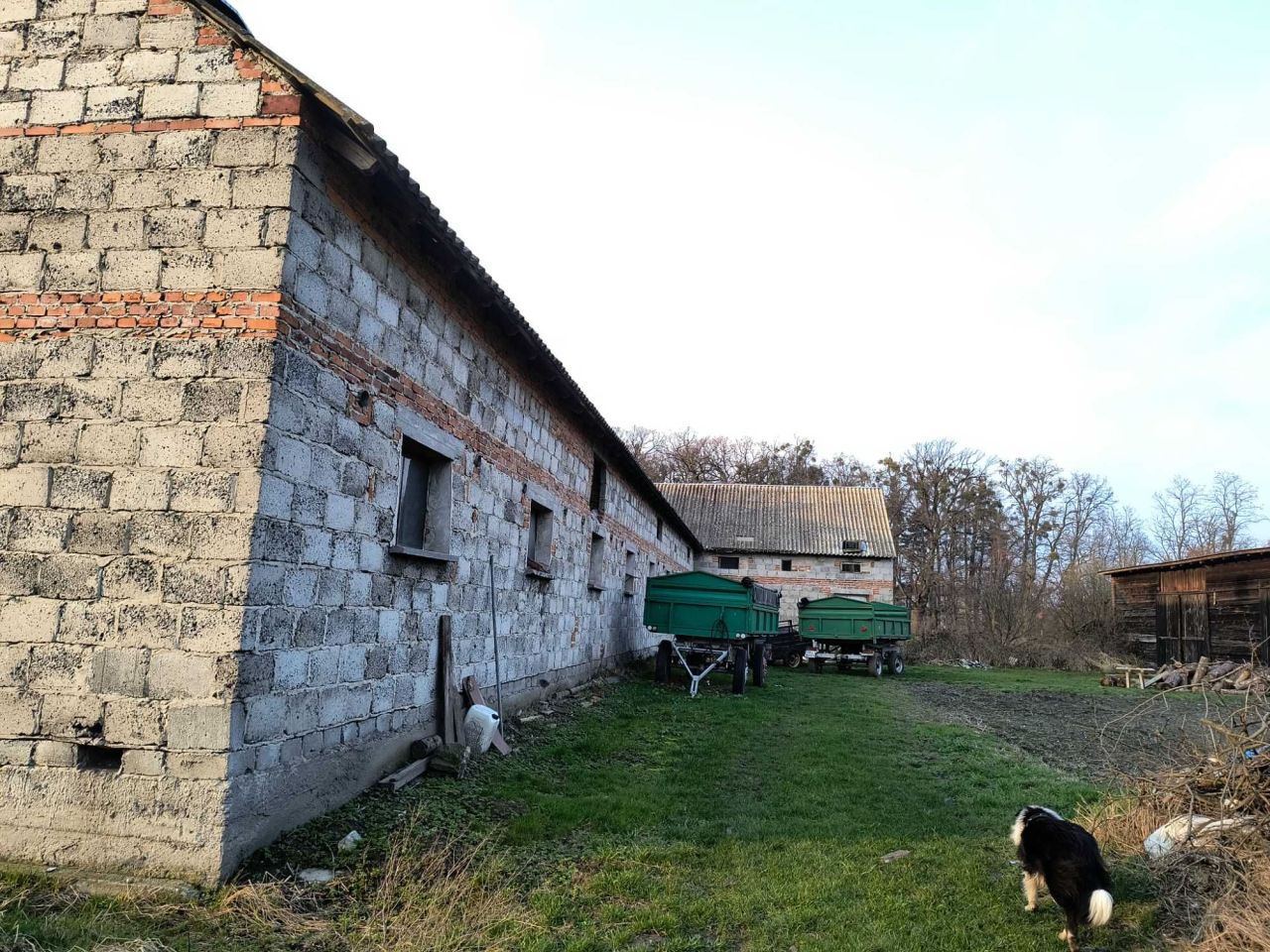 Hala/magazyn Gierałcice. Zdjęcie 6