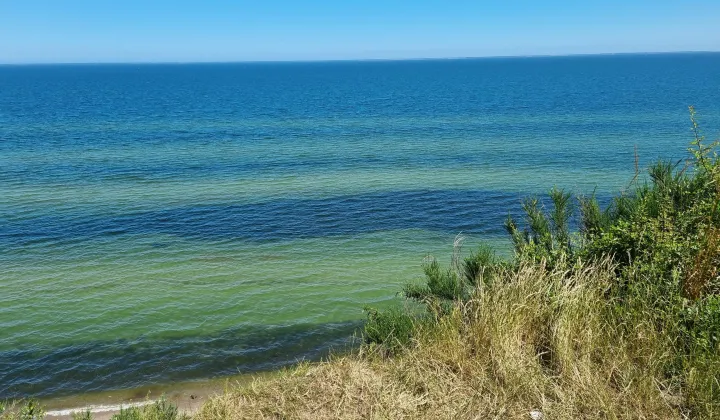 Działka rekreacyjna Pierwoszyno