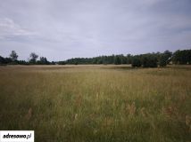 Działka rolno-budowlana Barkowo. Zdjęcie 3