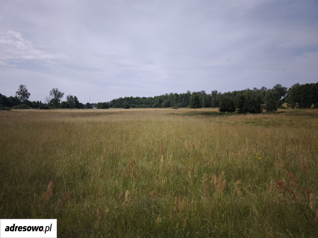 Działka rolno-budowlana Barkowo. Zdjęcie 4