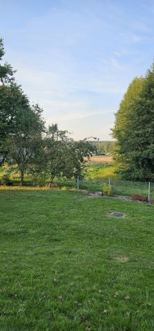 dom wolnostojący, 10 pokoi Żory Kleszczów, ul. Pszczyńska. Zdjęcie 20