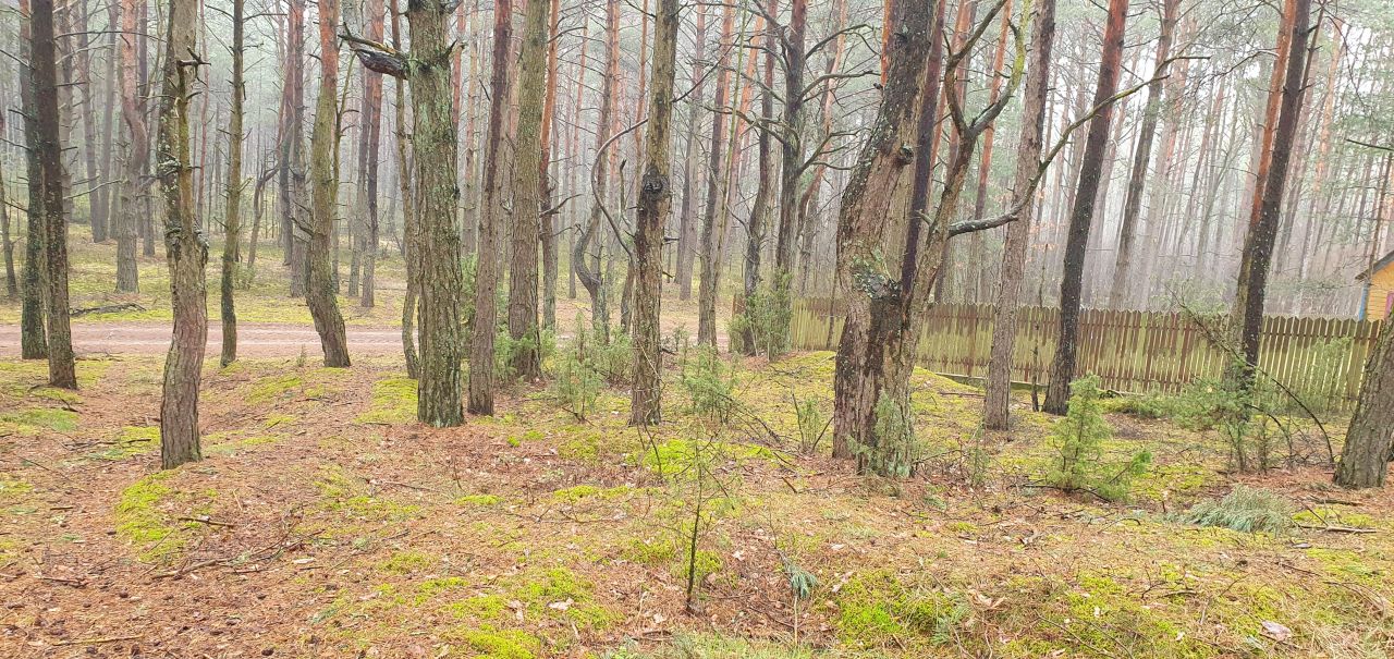 Działka rekreacyjna Nowe Łachy. Zdjęcie 9