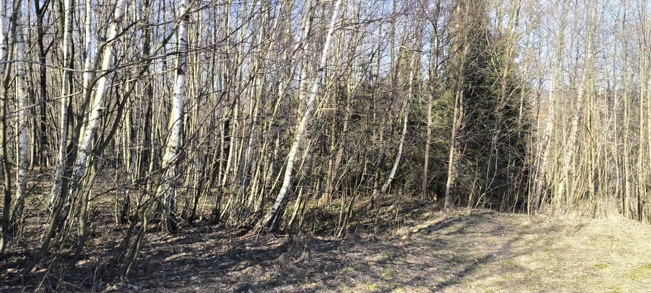 Działka rolno-budowlana Białka. Zdjęcie 10