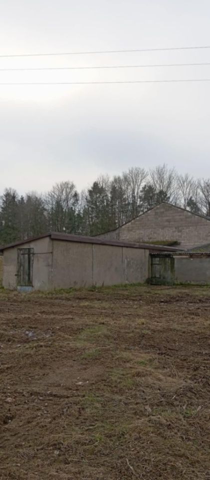 Działka rolna Gowidlino. Zdjęcie 3