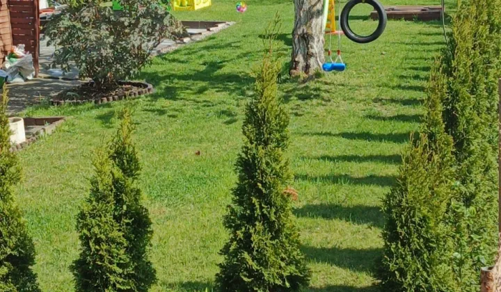 Mieszkanie 3-pokojowe Szczecin Podjuchy, ul. Elektoralna