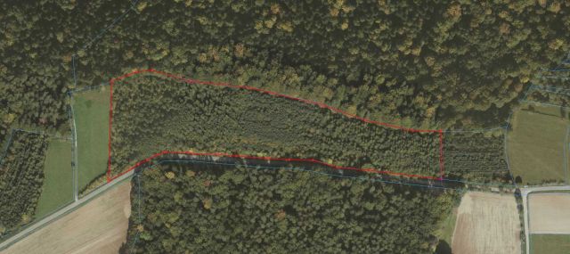 Działka leśna Błażowa. Zdjęcie 1