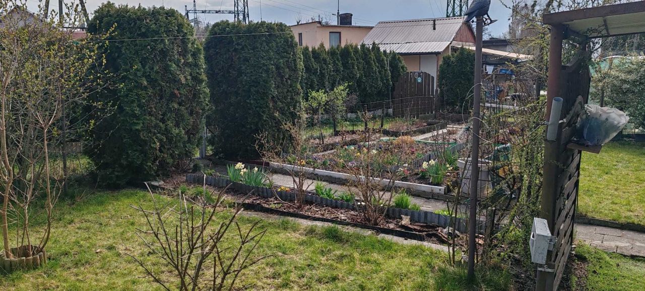 Działka rod Żory, ul. Boczna. Zdjęcie 7