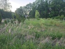 Działka siedliskowa Droszków. Zdjęcie 2