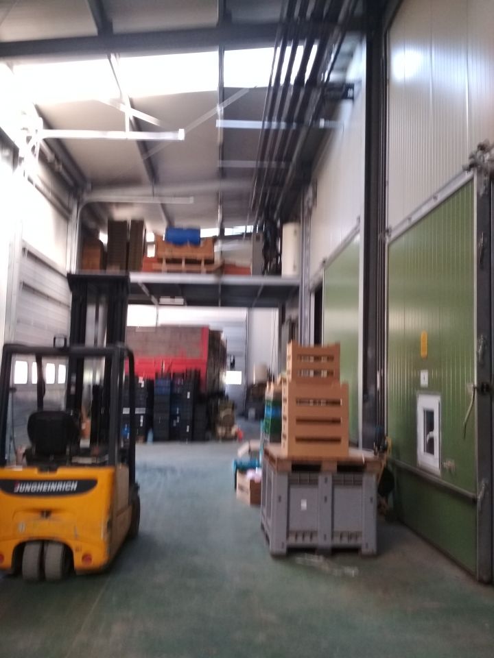 Działka rolna Miedzechów. Zdjęcie 6