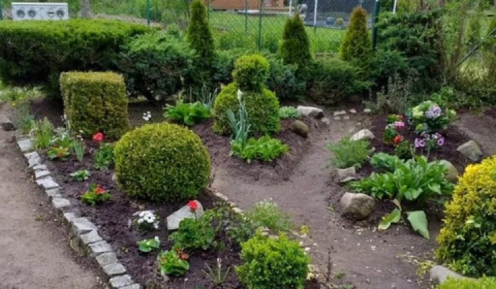 Działka rod Poznań Ławica, ul. Bukowska