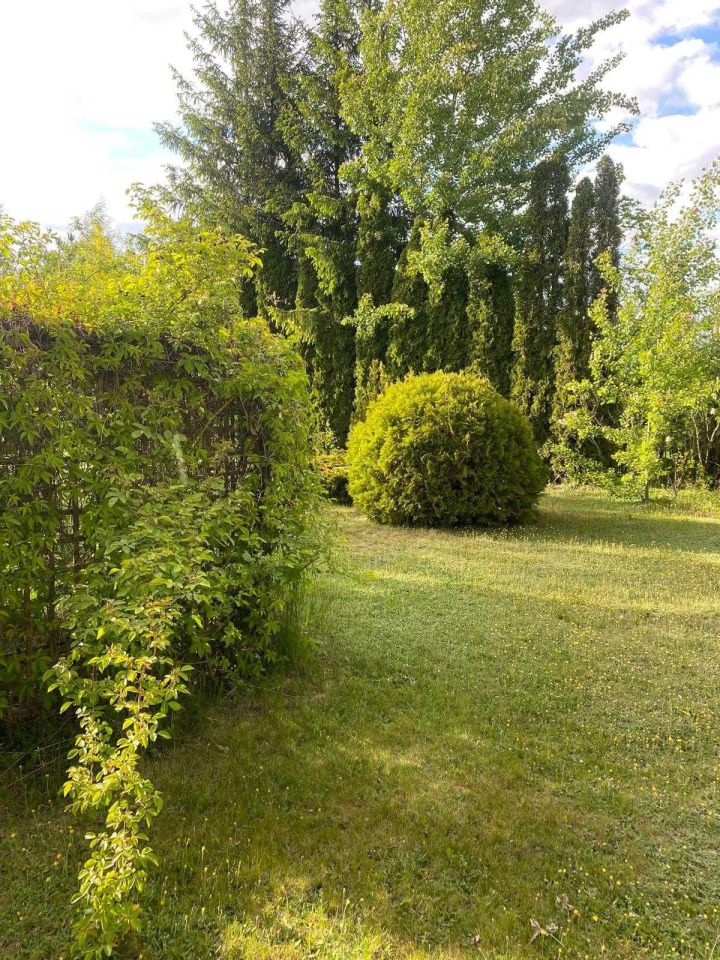 Działka rolno-budowlana Witunia, ul. Podgórna. Zdjęcie 4