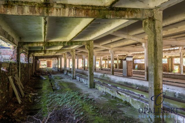 Hala/magazyn Krościenko. Zdjęcie 3