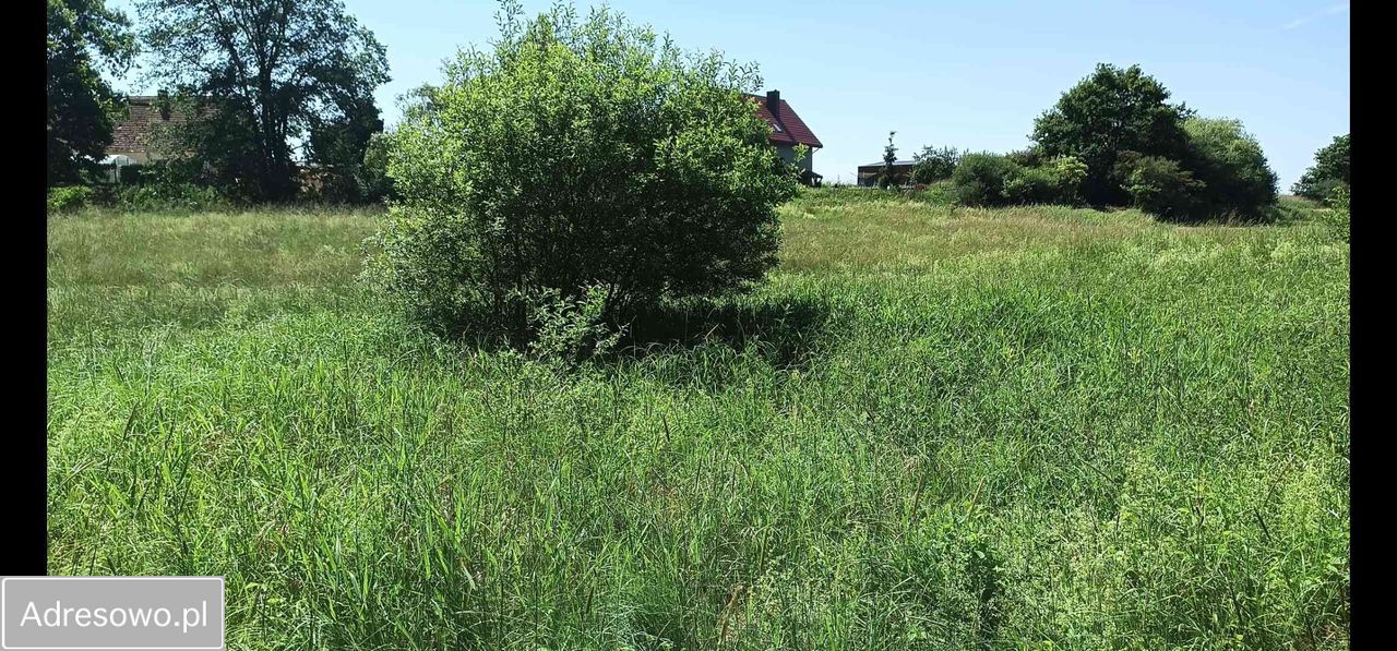 Działka rolno-budowlana Siekierowice. Zdjęcie 5