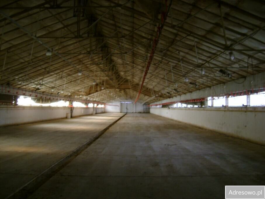 Działka inwestycyjna Skwierzyna. Zdjęcie 9