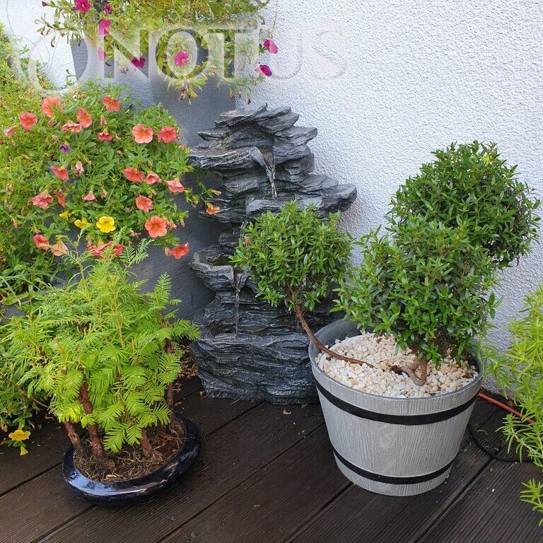 Mieszkanie 3-pokojowe Wrocław Złotniki. Zdjęcie 25