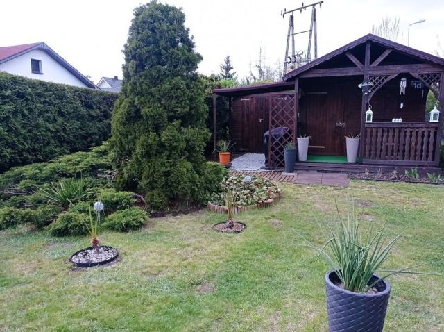 Działka rod Szczecin. Zdjęcie 1