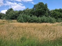 Działka budowlana Krzelów Młoty. Zdjęcie 4