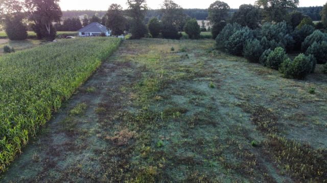 Działka budowlana Dolnik. Zdjęcie 8