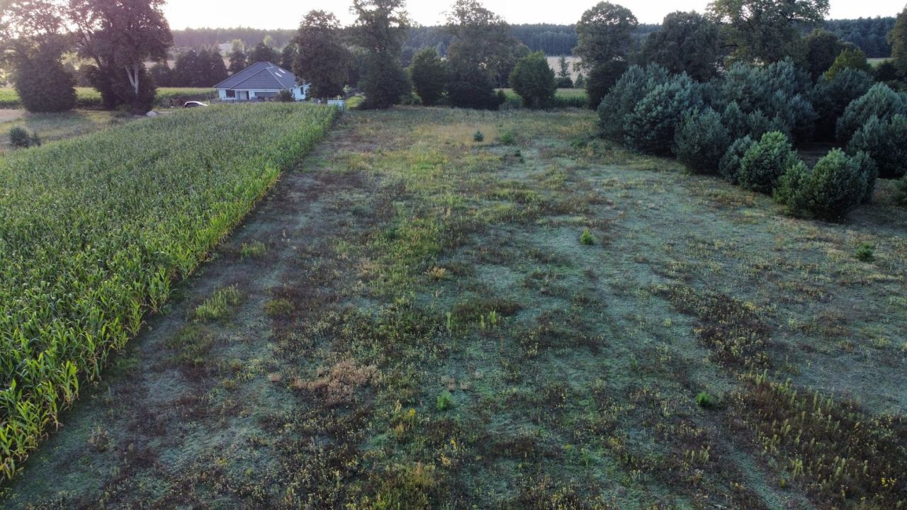 Działka budowlana Dolnik. Zdjęcie 8