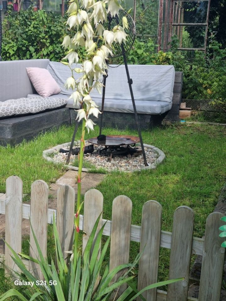 Działka rod Gdańsk Jasień, ul. Źródlana. Zdjęcie 4