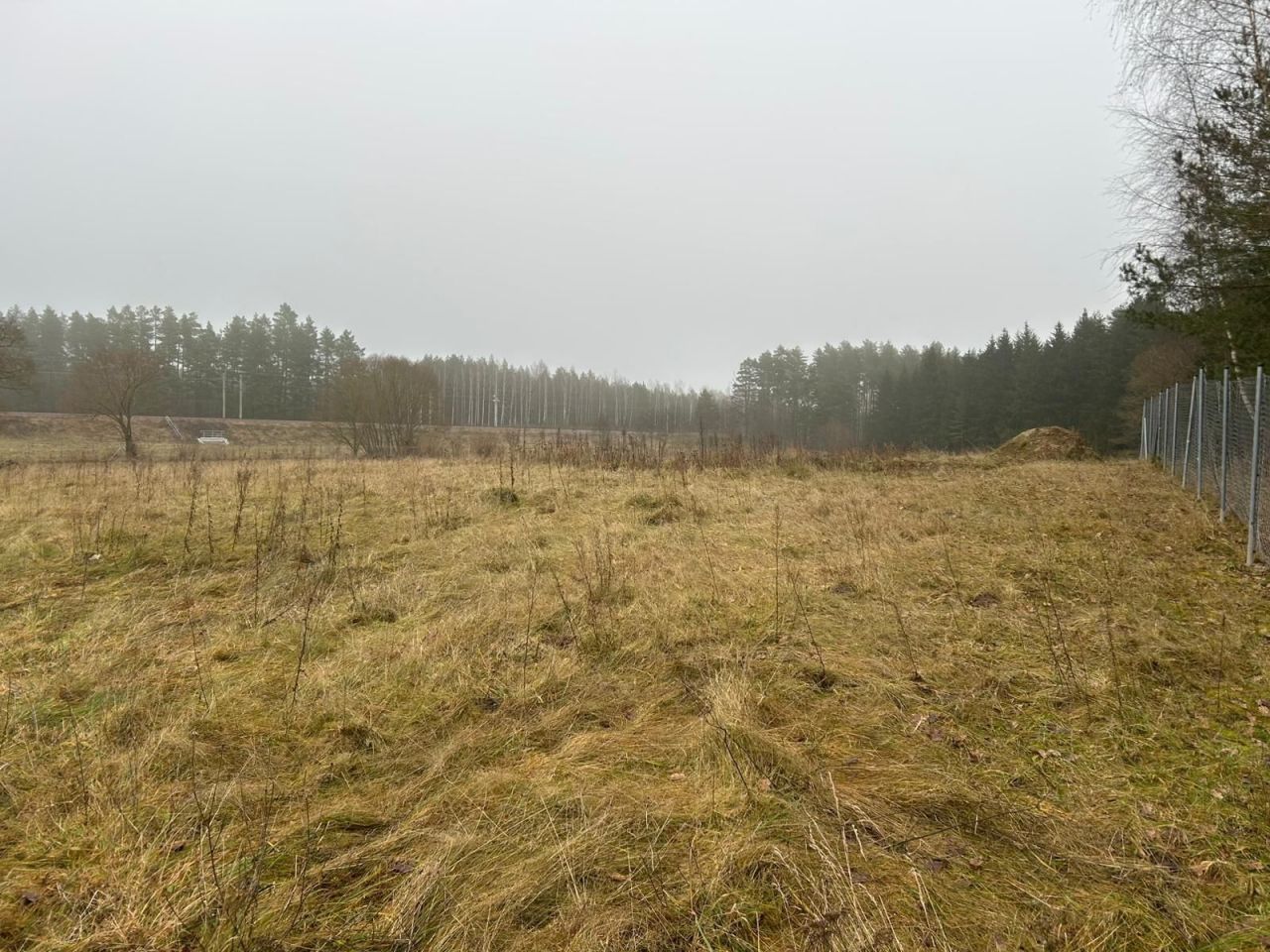 Działka budowlana Wężówka. Zdjęcie 4