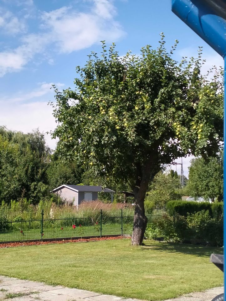 Działka rod Lublin. Zdjęcie 5