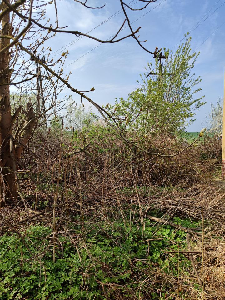 dom wolnostojący, 2 pokoje Sadogóra, Sadogóra. Zdjęcie 10