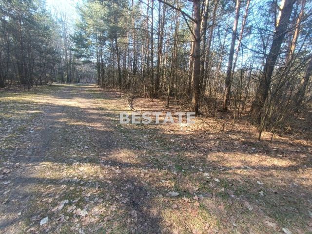 Działka budowlana Dłutów. Zdjęcie 6