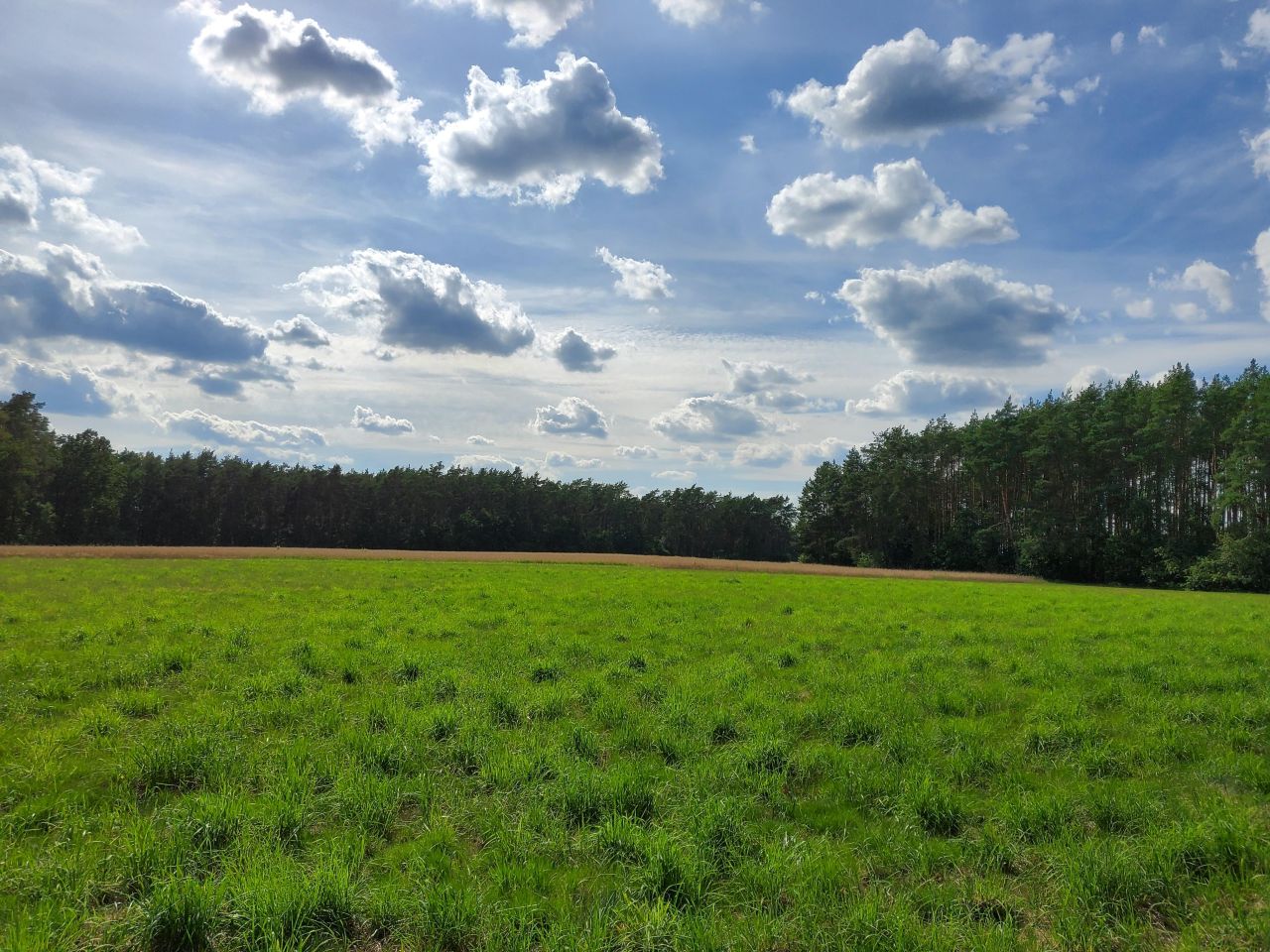 Działka budowlana Cieńsza. Zdjęcie 46