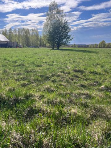 Działka budowlana Orłowice. Zdjęcie 3