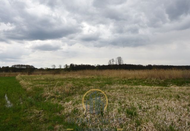 Działka rolna Giżyce. Zdjęcie 4